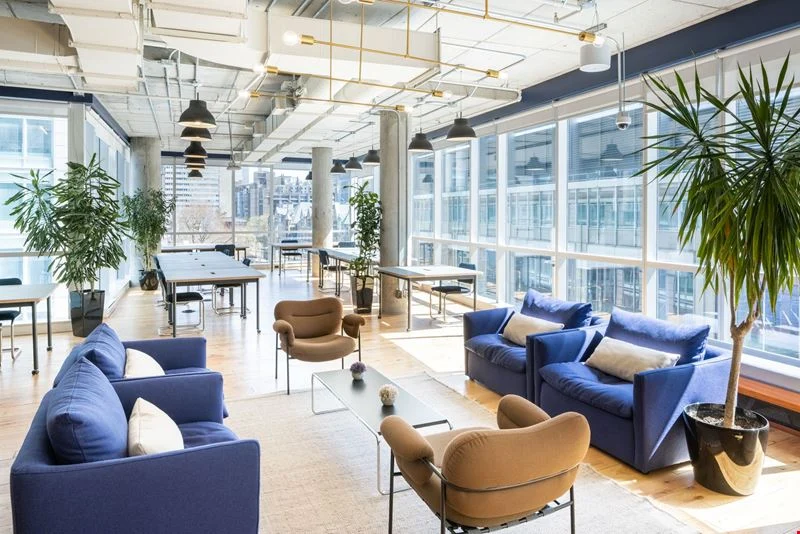 A common area at WeWork L'Avenue, with blue armchairs, plants and large windows looking out on downtown Montreal