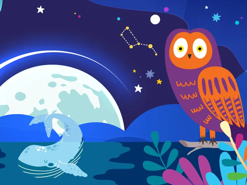 Illustration des Éditions Petits Génies : une baleine sous la lune et un hibou