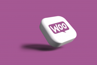 Agence Ecommerce - WooCommerce